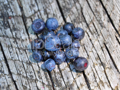 Wilde Heidelbeeren auf Holz