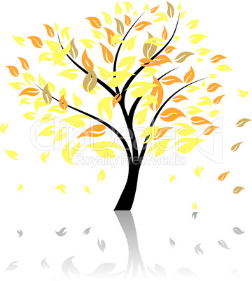 autumn tree