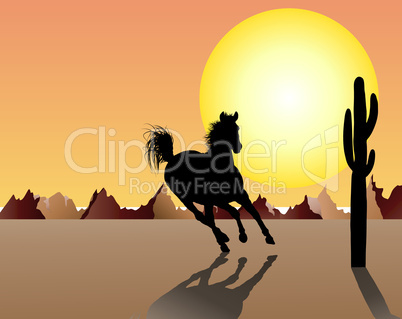 horse on sunset background