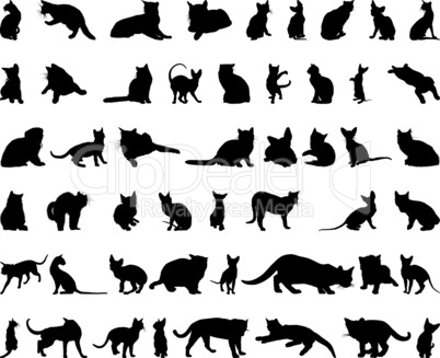 cat silhouettes set