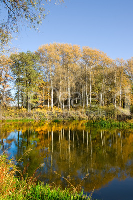 Autumn landscape