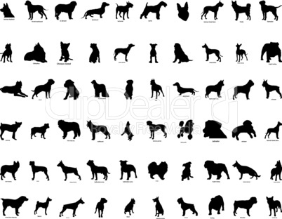 vector silhouettes of  dogs