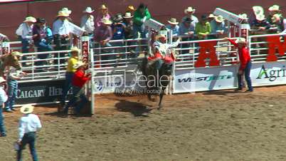 rodeo, bareback bronc riding loses hat