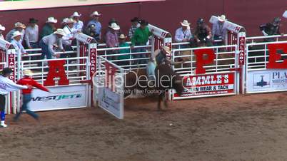 rodeo, Brahma bull riding, a nice spinner