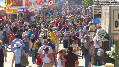 crowds at fair grounds