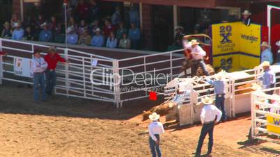 rodeo, calf roping competition
