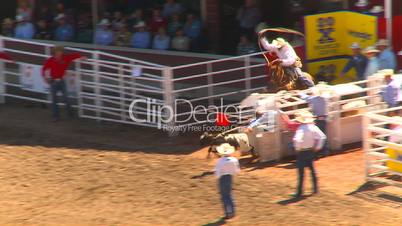 rodeo, calf roping