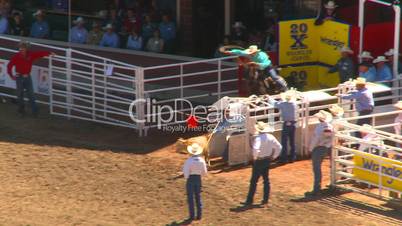 rodeo, calf roping