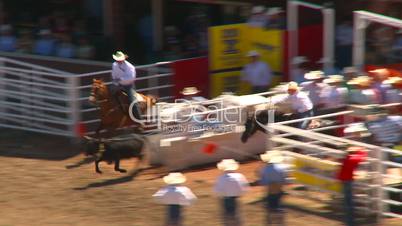 rodeo, steer wrestling