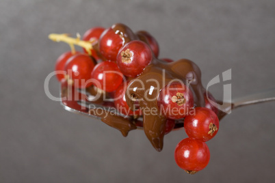 Johannisbeeren mit Schokolade