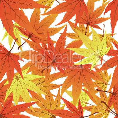 seamless maple leaves