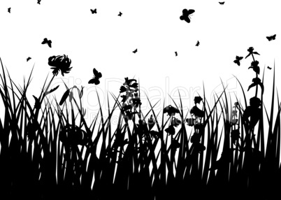 meadow silhouettes