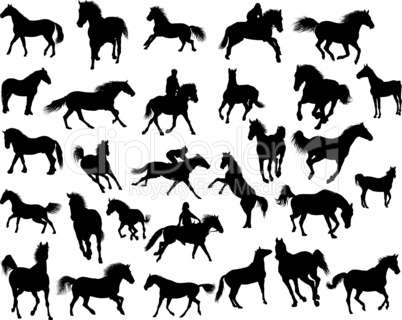 Big vector collection of different horses silhouettes