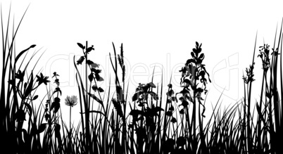 meadow silhouettes