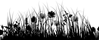 meadow silhouettes