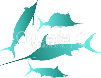 marlin,  sailfish vector