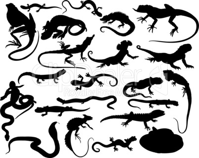 reptiles