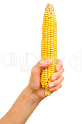 Hand with corn