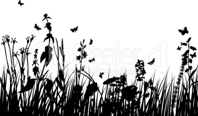 meadow silhouettes