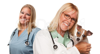 Female Veterinarian Doctors with Small Puppy