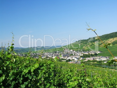 Wintrich an der Mosel