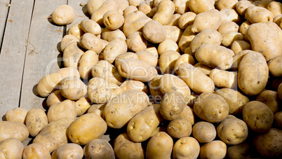 Organic potatoes on a market stall