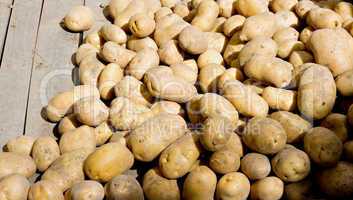 Organic potatoes on a market stall