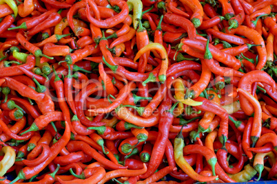 Hot chilli peppers on a market stall