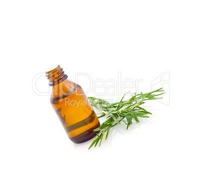 Rosmarinöl / rosemary oil