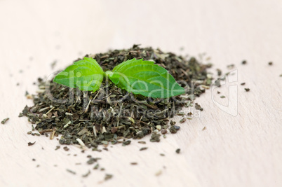 Pfefferminztee / peppermint tea