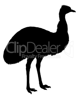 Emu