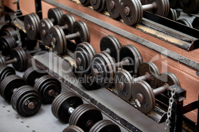 Collection of barbells