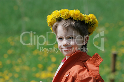 Boy in dandelion meadow.