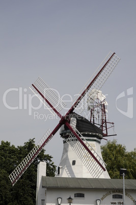 Windmühle bei Büsum