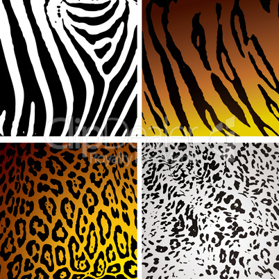 animal skin variation