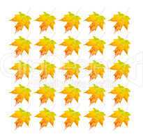 Autumn Leaves - Photo Object