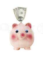 Piggy Bank with Money - Photo Object