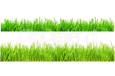 Green Grass