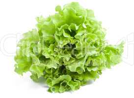 Lettuce