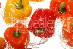 Red orange and yellow bell peppers splashing in water