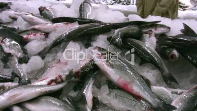 Fresh Fish in the Market