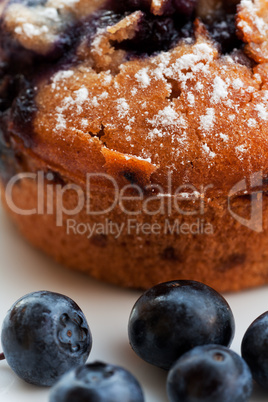 Blaubeermuffin und Blaubeeren auf einem Teller