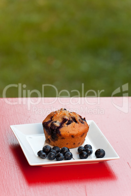 Blaubeermuffin und Blaubeeren auf einem Teller