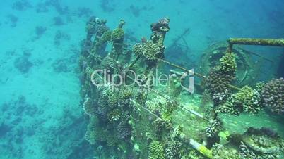 Red Sea Shipwreck , Giannis D