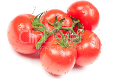 Tomatoes