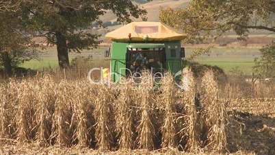 corn harvester towards the camera