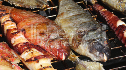 Fish on grill