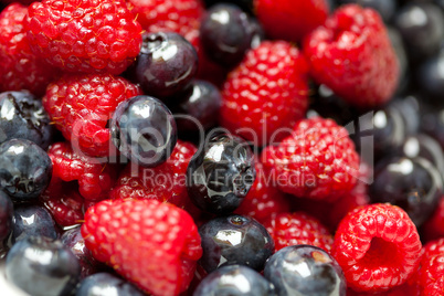 Heidelbeeren und Himbeeren