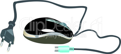 Computer mouse and electrical plug