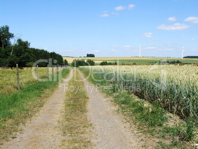 Feldweg